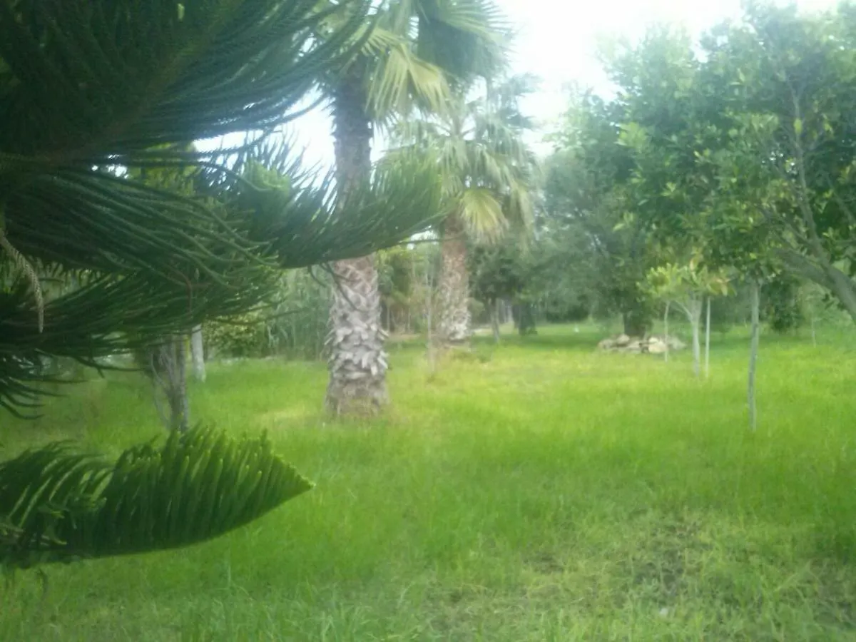 Country house Cabanas Junto Al Mar Guest House Adra Spain
